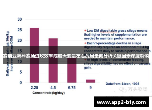 赛前亚洲杯赛场进攻效率成最大变量左右战局走向分析关键因素深度解读